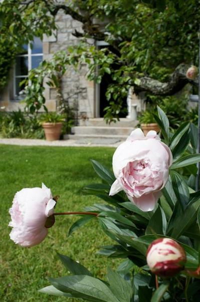 La Maison Les Mimosas Le Minihic-sur-Rance Екстер'єр фото
